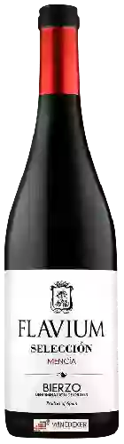 Weingut Arganza - Flavium Selección Bierzo