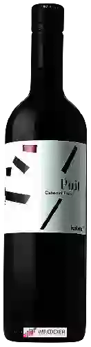 Weingut Armin Kobler - Puit Cabernet Franc