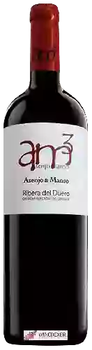 Bodegas Asenjo & Manso - AM3 Ribera del Duero