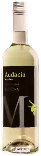 Weingut Audacia - Macabeo