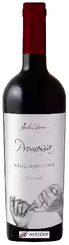 Weingut Aurelia Vișinescu - Promessa Feteasca Neagra - Syrah