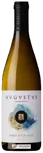 Weingut Avgvstvs - Xarel-lo de Mar