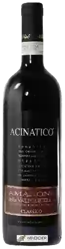 Weingut Stefano Accordini - Acinatico Amarone della Valpolicella Classico