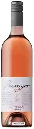 Weingut Bangor - Maria Pinot Rosé