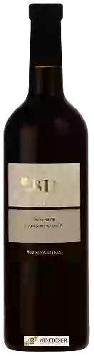 Weingut Binyamina - Bin Shiraz ( שיראז )