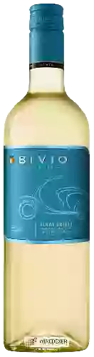 Weingut Bivio - Pinot Grigio