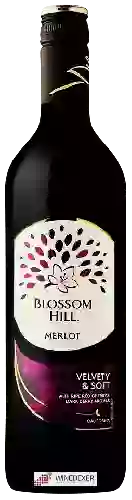 Weingut Blossom Hill - Merlot
