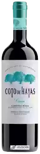 Bodegas Aragonesas - Coto De Hayas Crianza