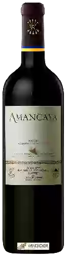 Weingut Caro (Catena and Rothschild) - Amancaya Malbec - Cabernet Sauvignon