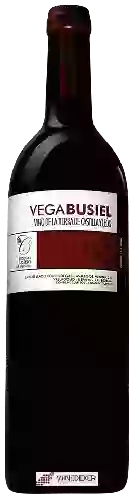 Bodegas Castelo de Medina - Vega Busiel Envejecido