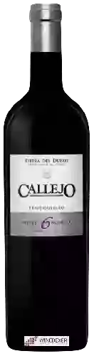 Weingut Callejo - Viña Pilar Crianza