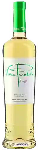 Bodegas Toribio - Verdejo