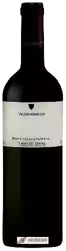 Weingut Valderiz - Valdehermoso