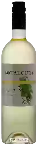 Weingut Botalcura - Codorniz  Sauvignon Blanc