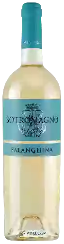 Weingut Botromagno - Falanghina