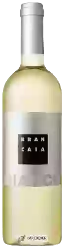 Weingut Brancaia - IL Bianco