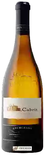 Weingut Cabriz - Encruzado Dão