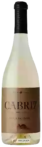 Weingut Cabriz - Touriga Nacional Branco