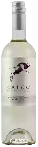 Weingut Calcu - Sauvignon Blanc (Reserva Especial)