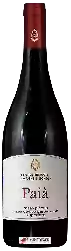 Weingut Cameli Irene - Paià Rosso