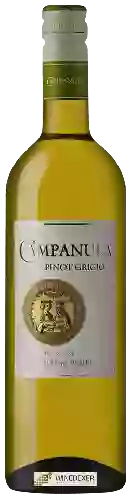 Weingut Campanula - Pinot Grigio