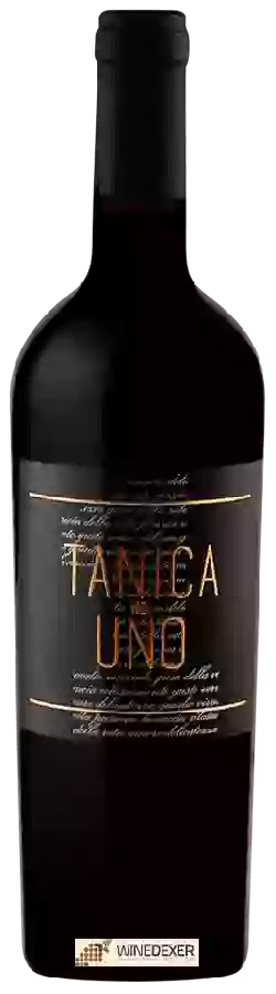 Weingut Cantina Tollo - Tanica Uno