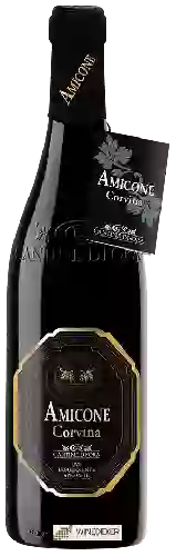 Weingut Cantine di Ora - Amicone Corvina