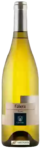 Weingut Cardone - Falera Fiano