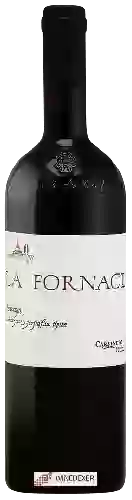 Weingut Carpineto - La Fornace