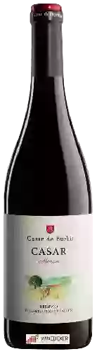 Weingut Casar de Burbia - Casar Mencía