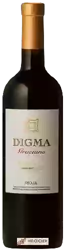 Bodegas Castillo de Sajazarra - Digma Graciano Reserva