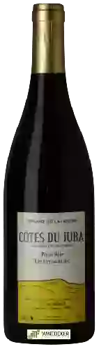 Domaine des Cavarodes - Pinot Noir Côtes du Jura  'Les Lumachelles'