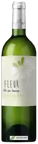 Caves de Rauzan - Fleur Entre-deux-Mers