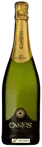 Weingut Cavit - Cantus Trento