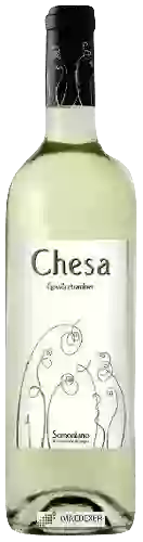 Weingut Chesa - Gewürztraminer