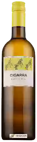 Weingut Cigarra - Branco