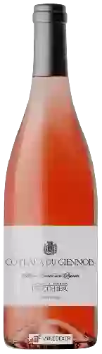 Weingut Clement et Florian Berthier - Coteaux du Giennois Rosé