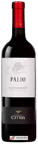 Weingut Citra - Palio Montepulciano d'Abruzzo