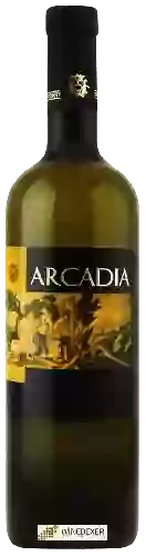 Weingut Coletti Conti - Arcadia Bianco