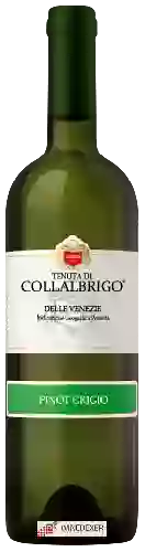Weingut Collalbrigo - Pinot Grigio