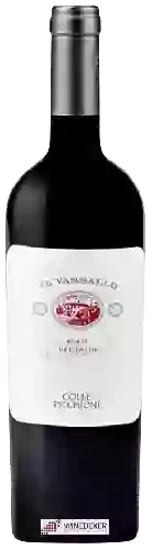 Weingut Colle Picchioni - Il Vassallo Rosso del Lazio