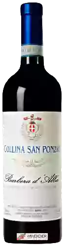 Weingut Collina San Ponzio - Linea 1878 Barbera d'Alba