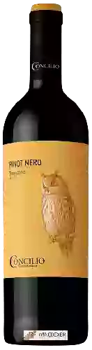 Weingut Concilio - Nativi Trentino Pinot Nero