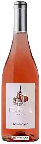 Weingut Copa Llena - Poblets del Montsant Rosé