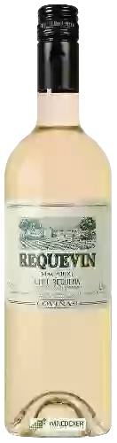 Weingut Coviñas - Requevin Macabeo