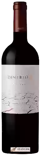 Bodega del Desierto - 25 Cabernet Franc