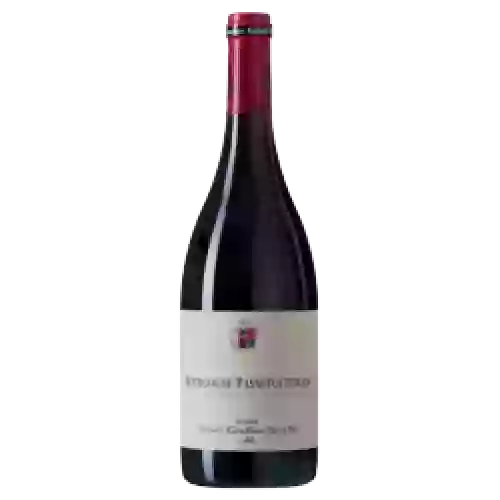 Domaine Bernard Moreau et Fils - Bourgogne-Passetoutgrain