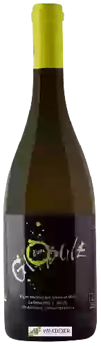 Domaine de la Petite Soeur - Adrien de Mello - Globule Blanc