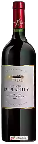 Domaine du Plantey - Castillon - Côtes de Bordeaux