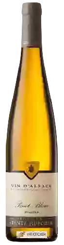 Domaine Stentz-Buecher - Tradition Pinot Blanc